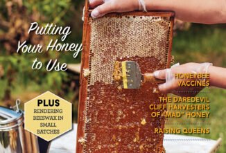 Backyard Beekeeping Fall 2023
